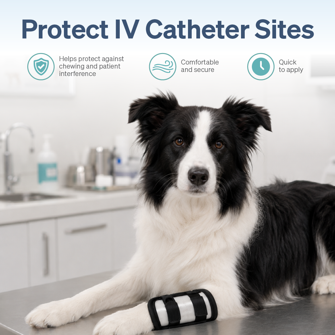 IV Catheter Guard