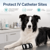 IV Catheter Guard