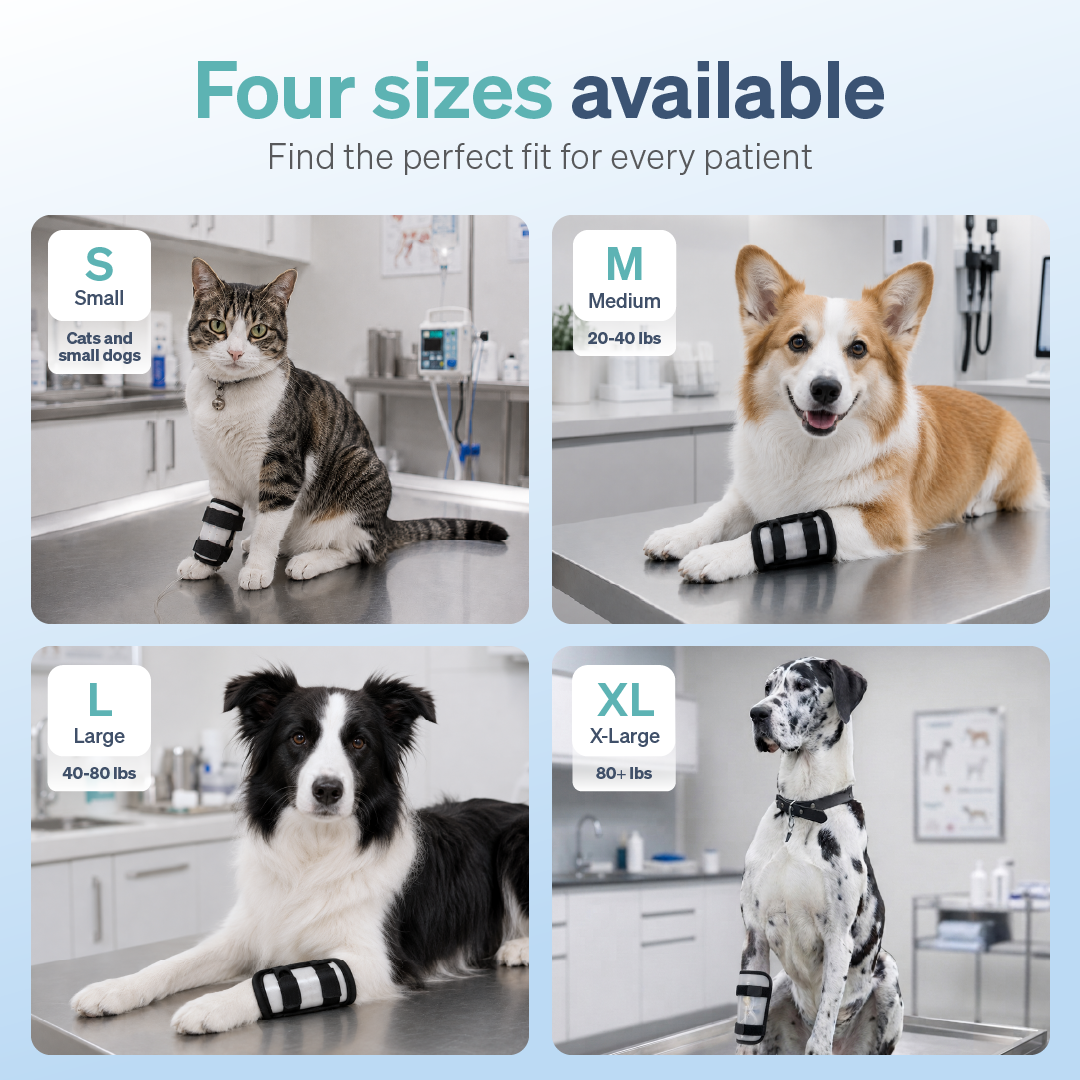 IV Catheter Guard