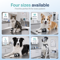 IV Catheter Guard