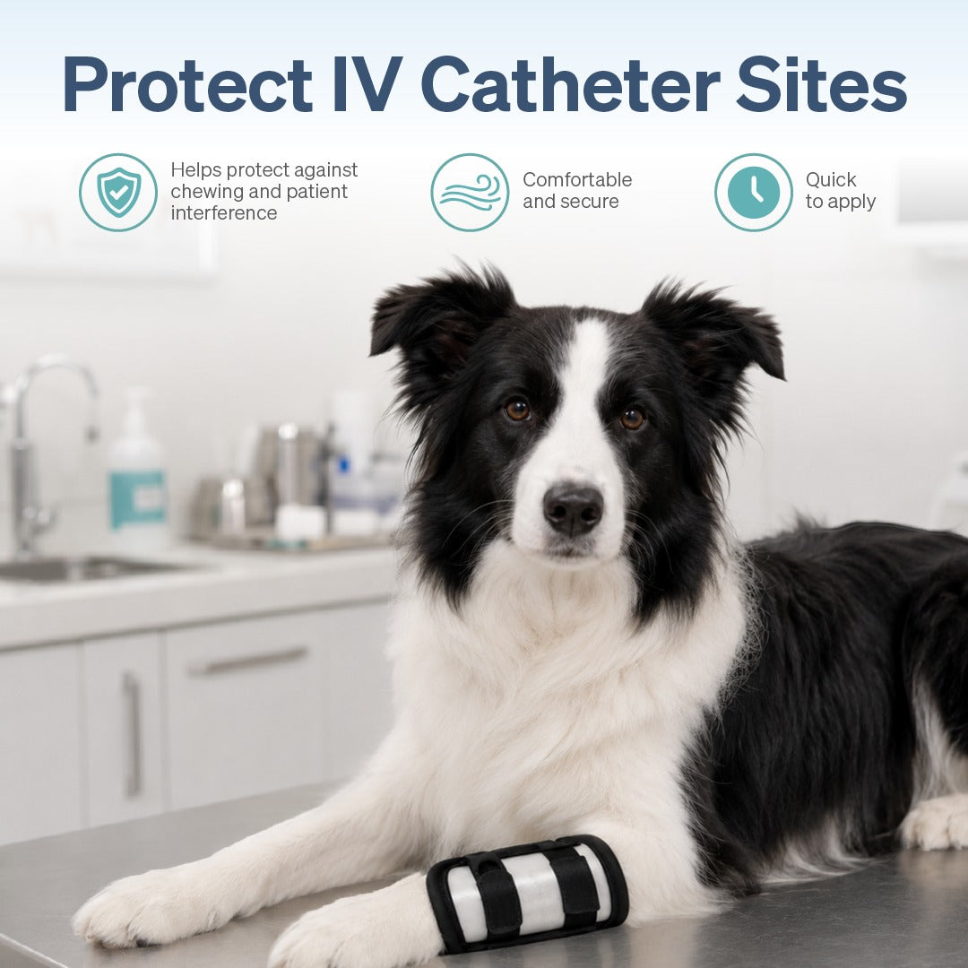 IV Catheter Guard