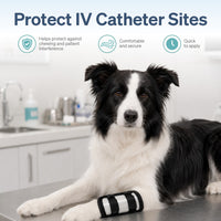 IV Catheter Guard