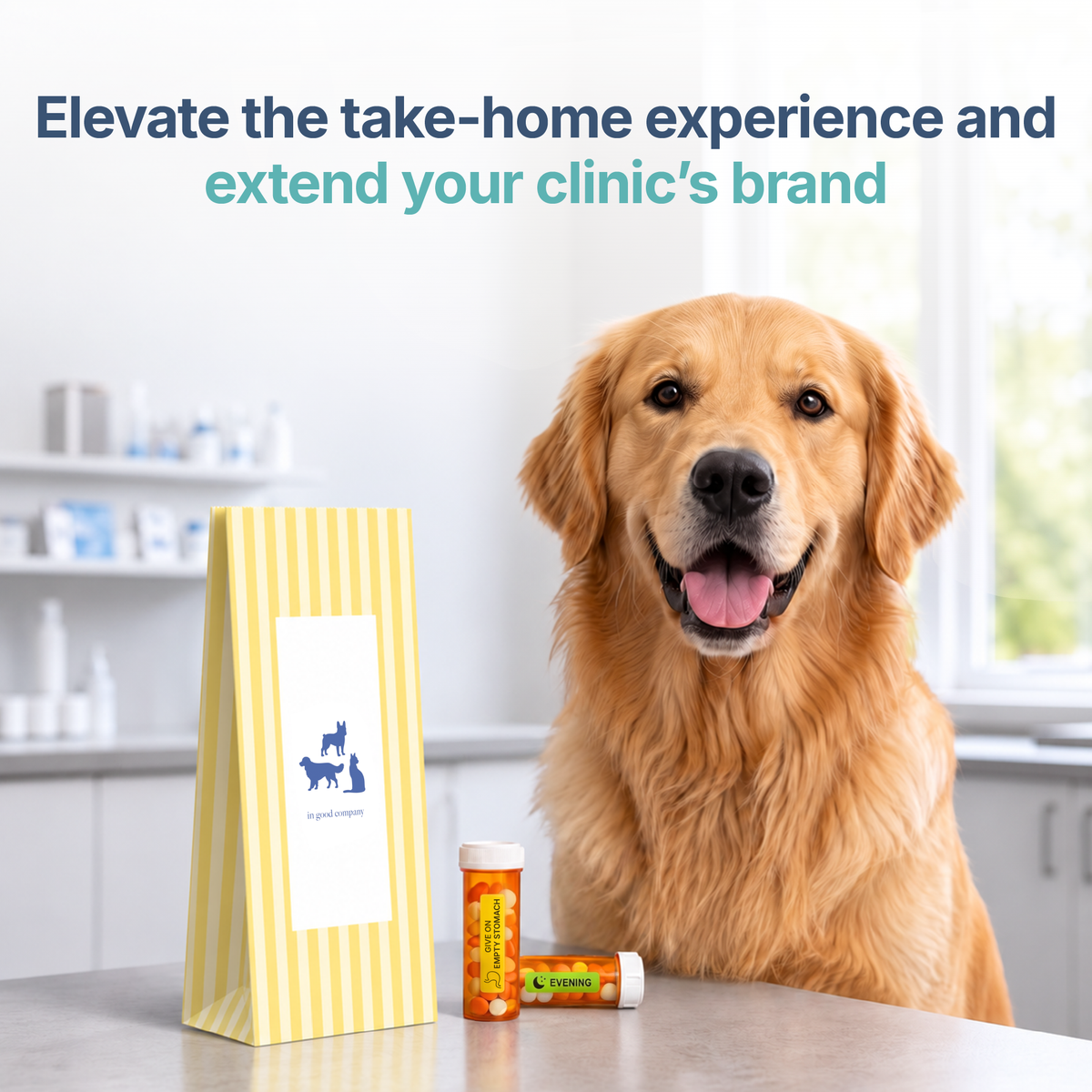 Safe.Vet "In Good Company" veterinary pharmacy prescription bag, Regular size — image 6