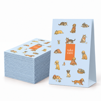 Safe.Vet "Take Care" veterinary pharmacy prescription bag, Large size — image 1