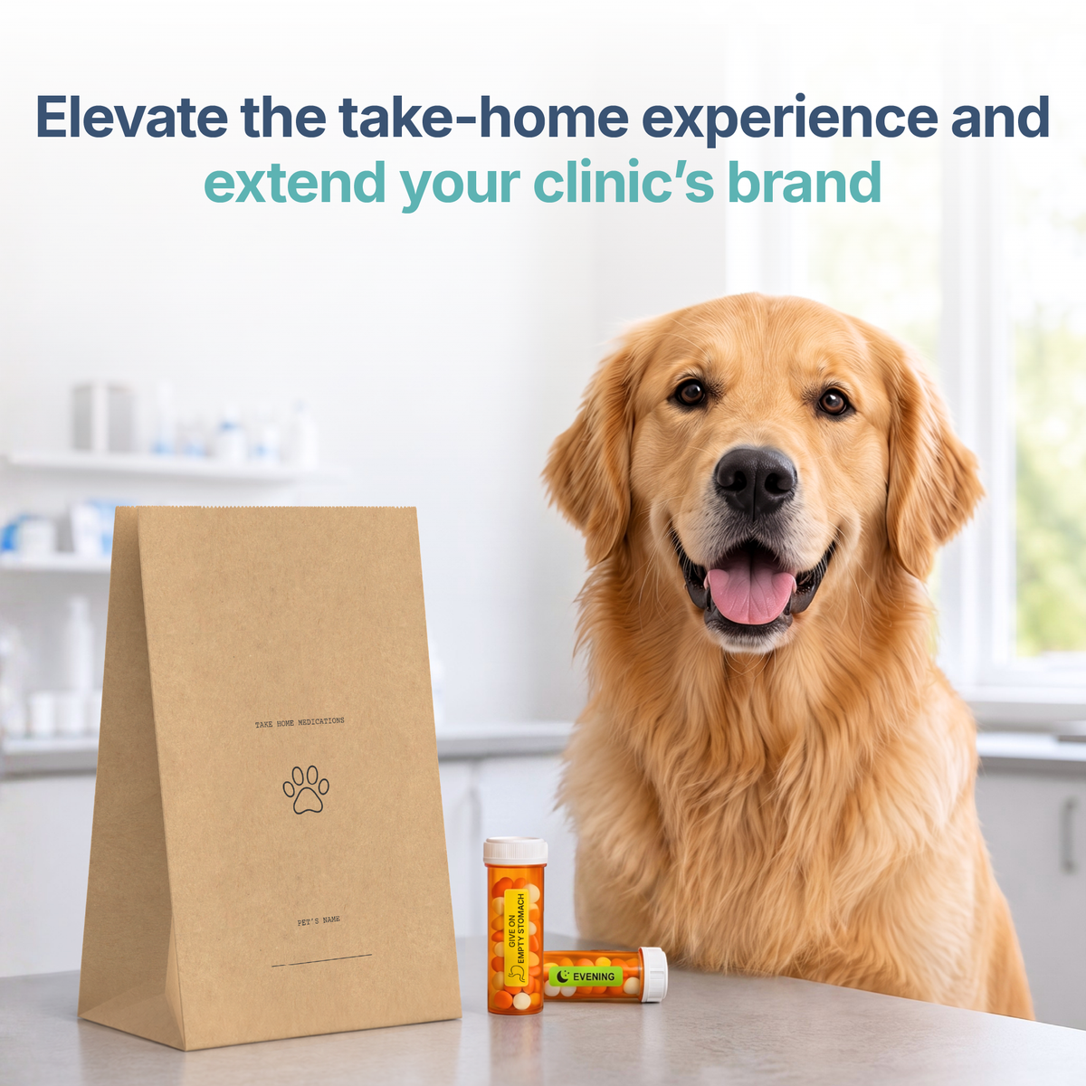 Safe.Vet "Take Home Medications" veterinary pharmacy prescription bag, Large size — image 6